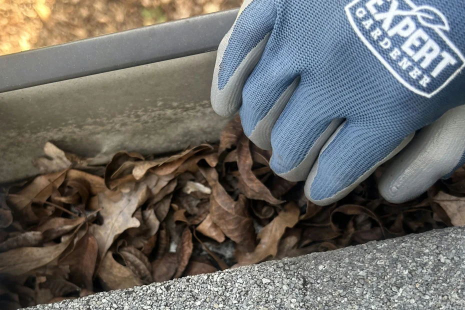 Gutter Cleaning Southport